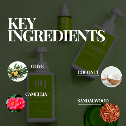 Bounce Back Trio | Treatment + Shampoo + Conditioner